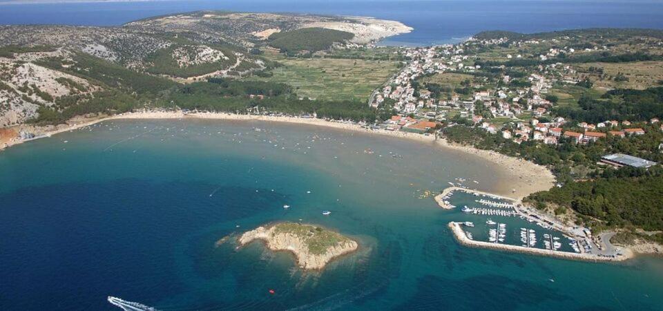 Apartman Dedic *